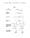 Thymidine Kinase Mutants and Fusion Proteins Having Thymidine Kinase and Guanylate Kinase Activities diagram and image