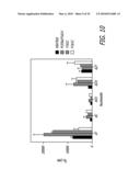 Thymidine Kinase Mutants and Fusion Proteins Having Thymidine Kinase and Guanylate Kinase Activities diagram and image