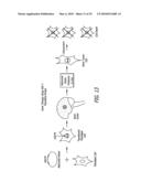 Thymidine Kinase Mutants and Fusion Proteins Having Thymidine Kinase and Guanylate Kinase Activities diagram and image