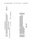 Thymidine Kinase Mutants and Fusion Proteins Having Thymidine Kinase and Guanylate Kinase Activities diagram and image