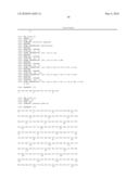 Thymidine Kinase Mutants and Fusion Proteins Having Thymidine Kinase and Guanylate Kinase Activities diagram and image