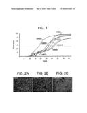 Stem Cell Aggregate Suspension Compositions and Methods of Differentiation Thereof diagram and image