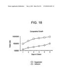 Stem Cell Aggregate Suspension Compositions and Methods of Differentiation Thereof diagram and image