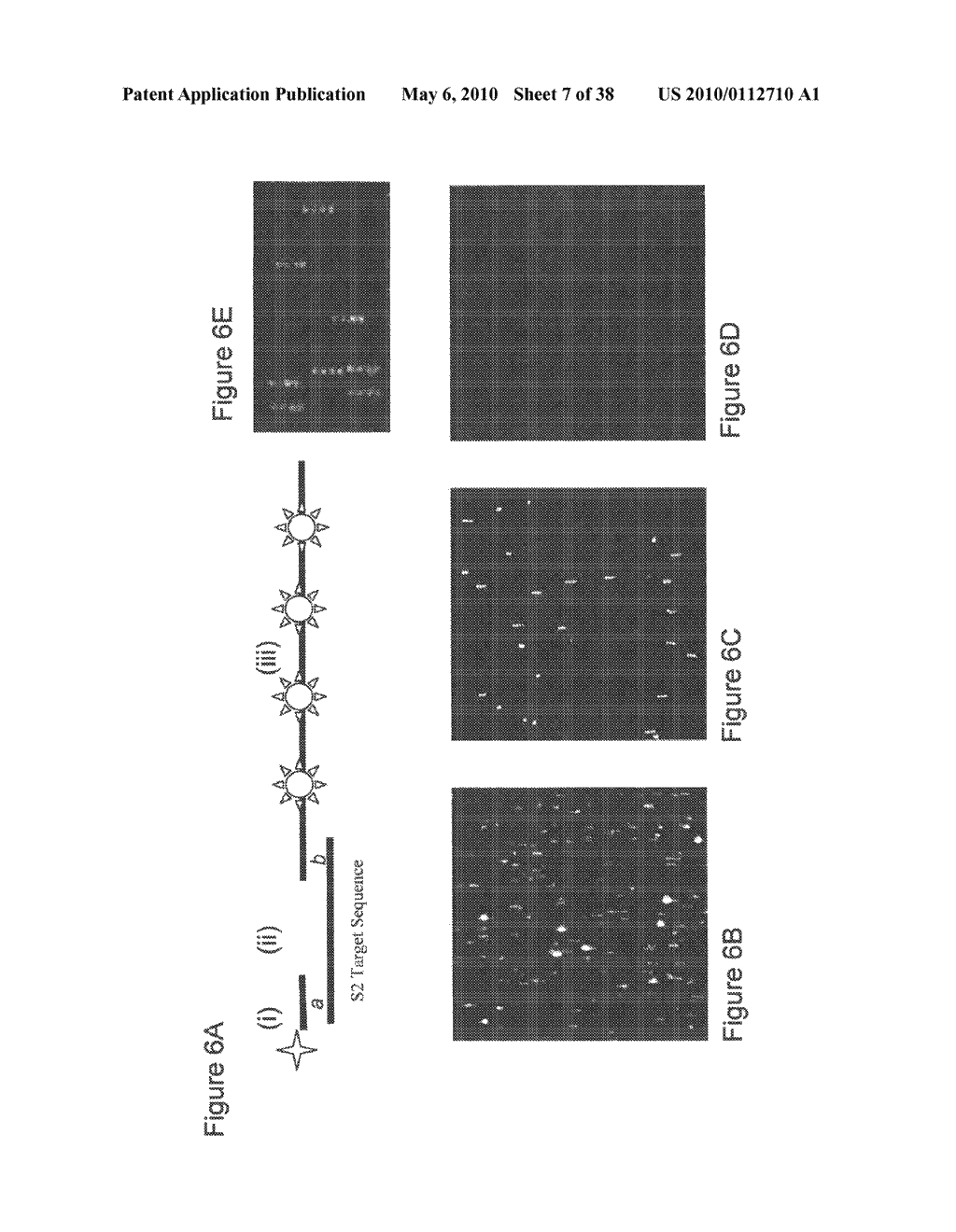 METHODS AND COMPUTER SYSTEMS FOR IDENTIFYING TARGET-SPECIFIC SEQUENCES FOR USE IN NANOREPORTERS - diagram, schematic, and image 08