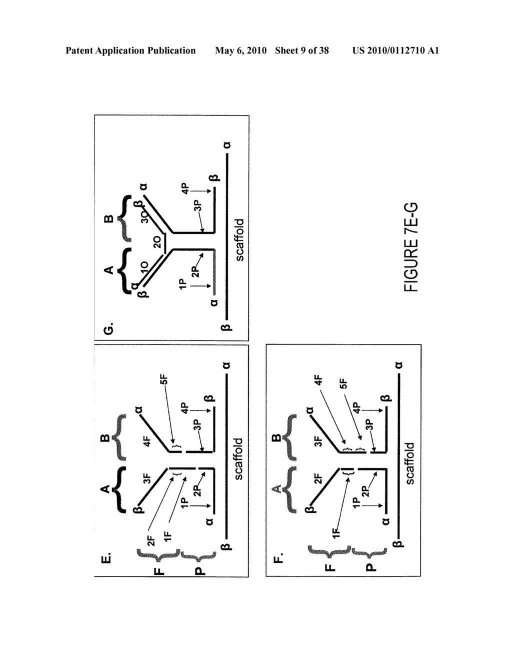 METHODS AND COMPUTER SYSTEMS FOR IDENTIFYING TARGET-SPECIFIC SEQUENCES FOR USE IN NANOREPORTERS - diagram, schematic, and image 10