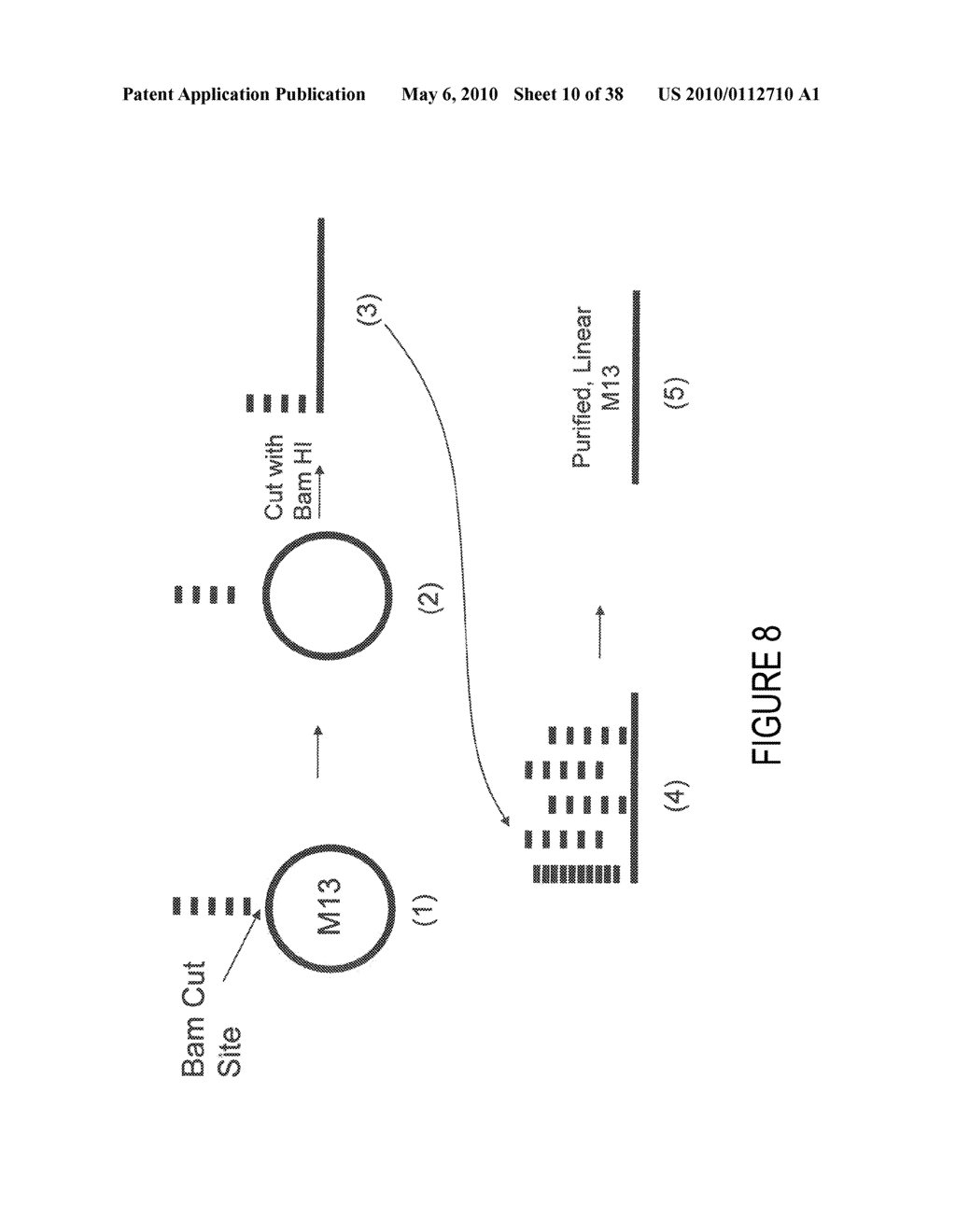 METHODS AND COMPUTER SYSTEMS FOR IDENTIFYING TARGET-SPECIFIC SEQUENCES FOR USE IN NANOREPORTERS - diagram, schematic, and image 11