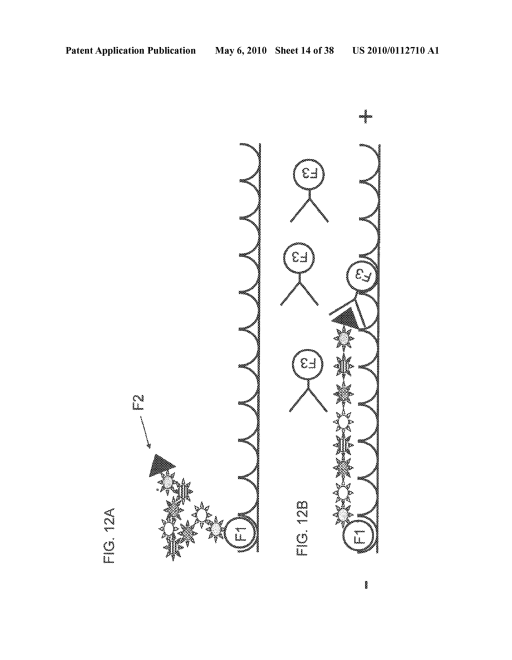 METHODS AND COMPUTER SYSTEMS FOR IDENTIFYING TARGET-SPECIFIC SEQUENCES FOR USE IN NANOREPORTERS - diagram, schematic, and image 15