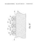 NANOSCALE FLOATING GATE AND METHODS OF FORMATION diagram and image