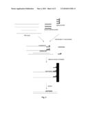 DETECTION OF RNA WITH MICRO-ARRAYS diagram and image