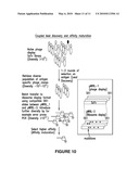 COMPATIBLE DISPLAY VECTOR SYSTEMS diagram and image