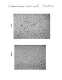 LIQUID AND STABLE OIL-IN-WATER OR WATER-IN-OIL EMULSION WITH A VEGETABLE OIL OR MINERAL OIL BASE diagram and image