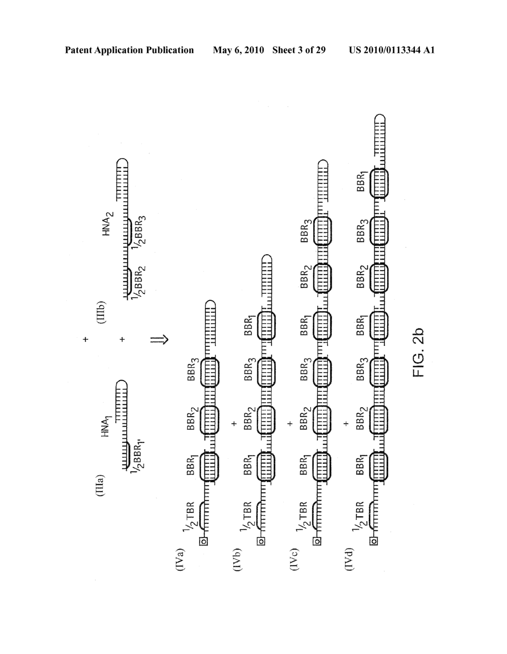 Method Of Detection Of Nucleic Acids With A Specific Sequence Composition - diagram, schematic, and image 04