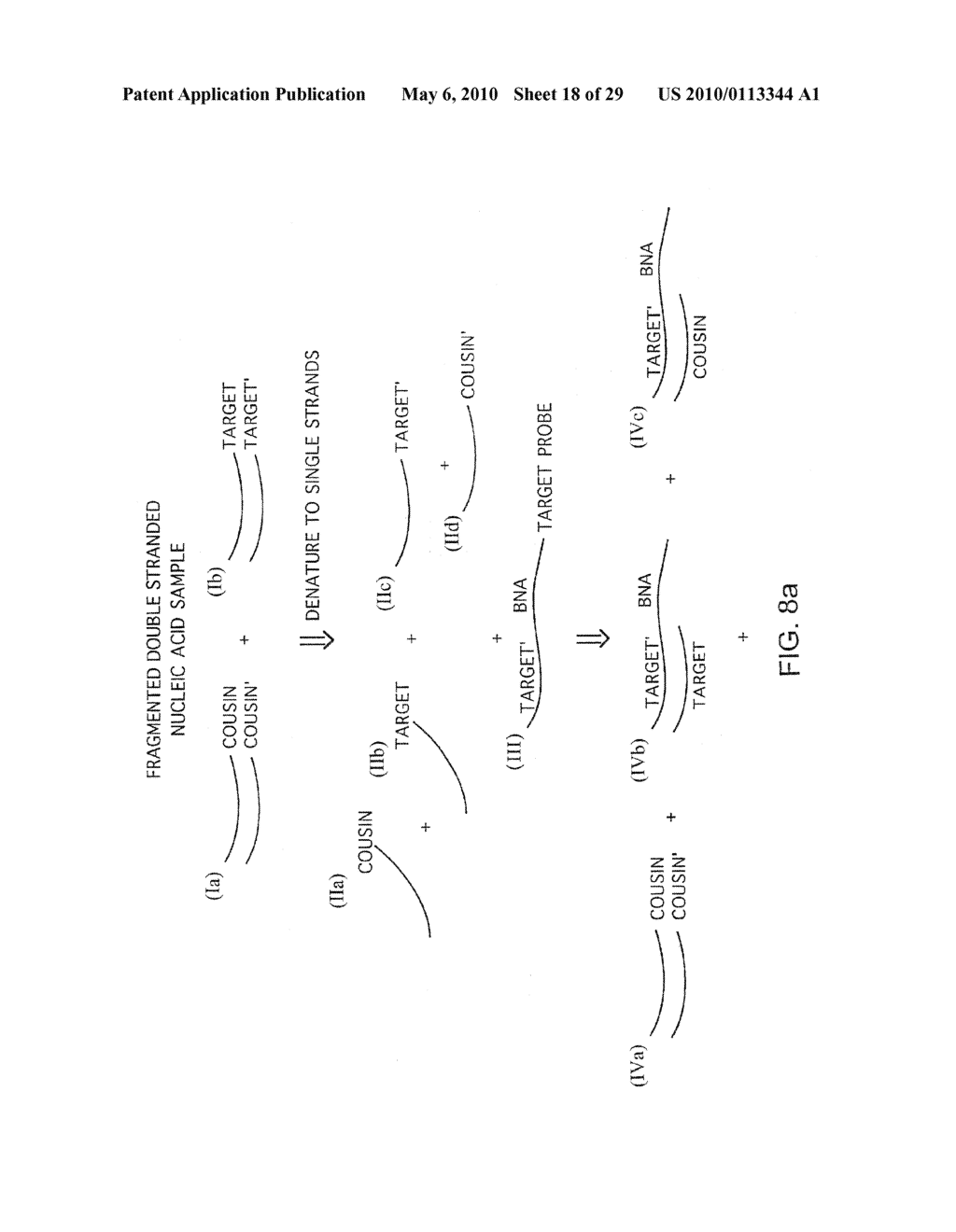 Method Of Detection Of Nucleic Acids With A Specific Sequence Composition - diagram, schematic, and image 19