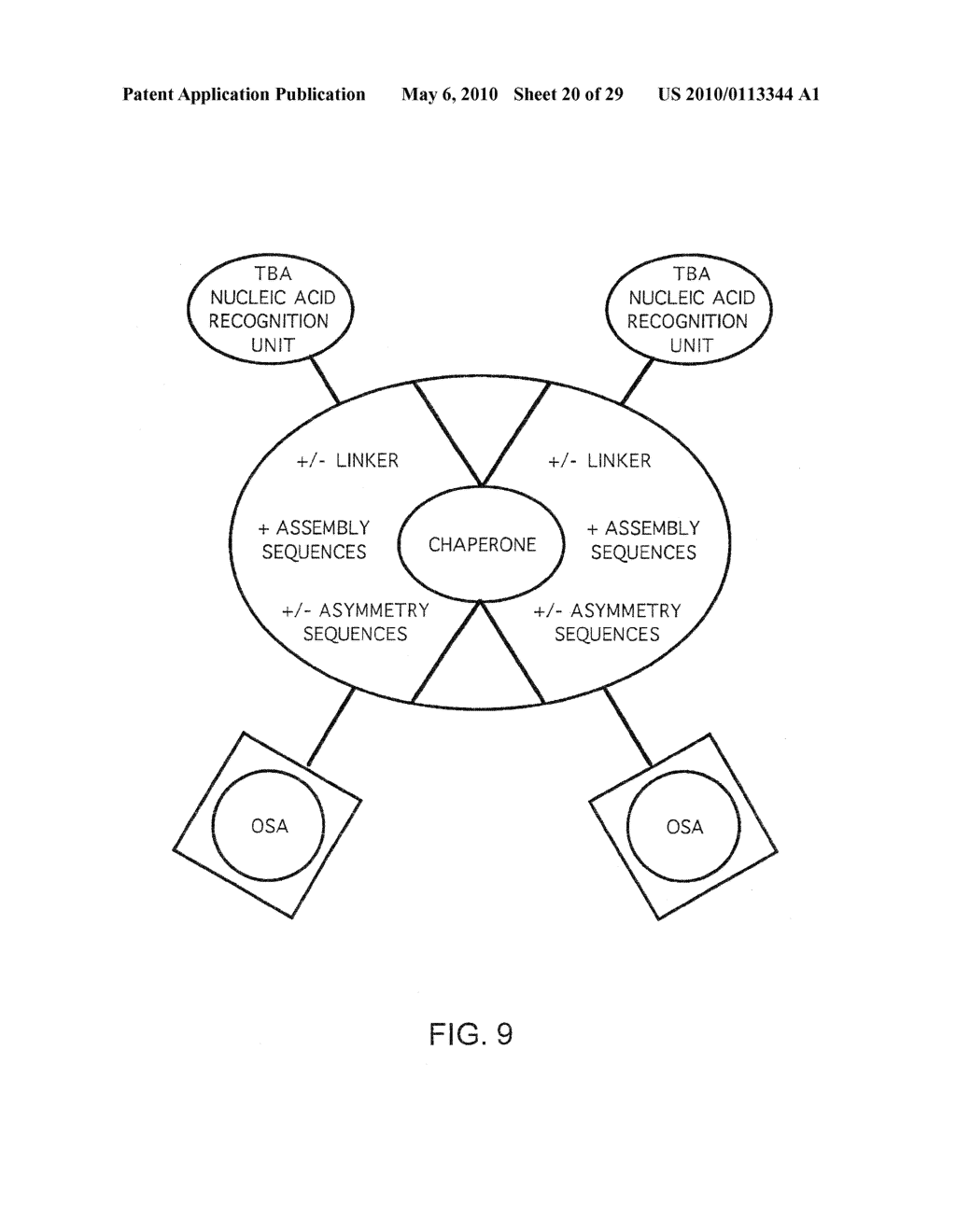 Method Of Detection Of Nucleic Acids With A Specific Sequence Composition - diagram, schematic, and image 21