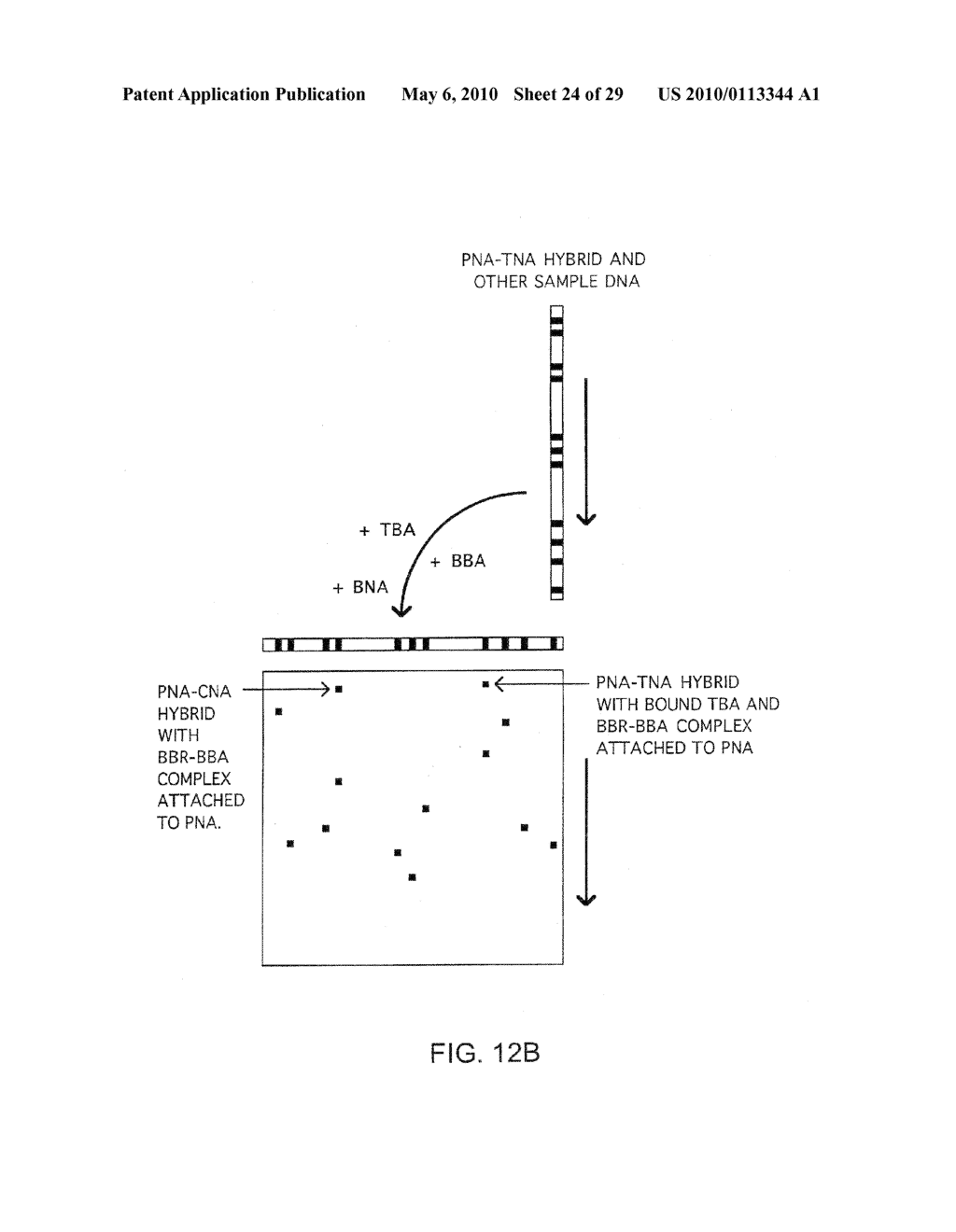 Method Of Detection Of Nucleic Acids With A Specific Sequence Composition - diagram, schematic, and image 25