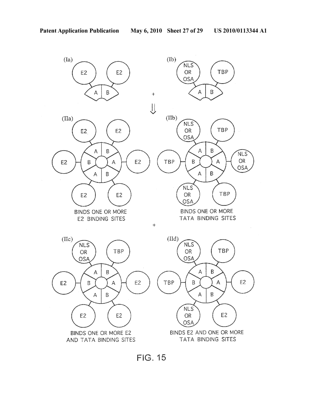 Method Of Detection Of Nucleic Acids With A Specific Sequence Composition - diagram, schematic, and image 28