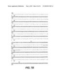 EXTRACELLULAR MATRIX-BINDING PROTEINS FROM STAPHYLOCOCCUS AUREUS diagram and image