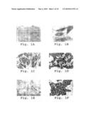 Method and composition for inhibiting cardiovascular cell proliferation diagram and image