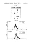 PARATHYROID HORMONE RECEPTOR ACTIVATION AND STEM AND PROGENITOR CELL EXPANSION diagram and image