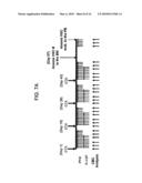 PARATHYROID HORMONE RECEPTOR ACTIVATION AND STEM AND PROGENITOR CELL EXPANSION diagram and image