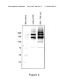 FACTOR VIII POLYMER CONJUGATES diagram and image