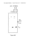 FACTOR VIII POLYMER CONJUGATES diagram and image