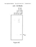 FACTOR VIII POLYMER CONJUGATES diagram and image