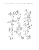 21-SUBSTITUTED PROGESTERONE DERIVATIVES AS NEW ANTIPROGESTATIONAL AGENTS diagram and image