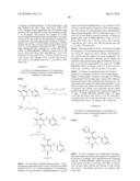 MAPK/ERK Kinase Inhibitors diagram and image