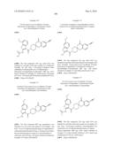 HETEROCYCLIC COMPOUND diagram and image