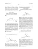 HETEROCYCLIC COMPOUND diagram and image