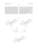 Antifungal agents diagram and image