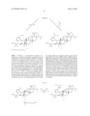 Antifungal agents diagram and image