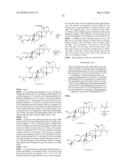 Antifungal agents diagram and image