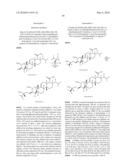 Antifungal agents diagram and image