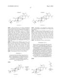 Antifungal agents diagram and image