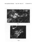 Inhibitors of mycobacterium tuberculosis malate synthase, methods of making and uses thereof diagram and image