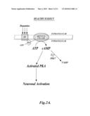 USE OF PDE7 INHIBITORS FOR THE TREATMENT OF MOVEMENT DISORDERS diagram and image