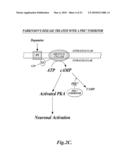 USE OF PDE7 INHIBITORS FOR THE TREATMENT OF MOVEMENT DISORDERS diagram and image