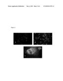 TREATMENT OF PRESBYOPIA WITH ALPHA- PICOLINIC ACID AND ITS ANALOGS diagram and image