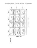 COMPOSITIONS AND METHODS FOR TREATING HEMATOPOIETIC MALIGNANCIES diagram and image