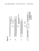 RNA Interference Mediated Inhibition of Interleukin and Interleukin Receptor Gene Expression Using Short Interfering Nucleic Acid (siNA) diagram and image