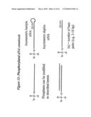 RNA Interference Mediated Inhibition of Interleukin and Interleukin Receptor Gene Expression Using Short Interfering Nucleic Acid (siNA) diagram and image