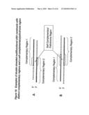 RNA Interference Mediated Inhibition of Interleukin and Interleukin Receptor Gene Expression Using Short Interfering Nucleic Acid (siNA) diagram and image