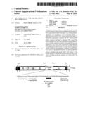 Recombinant VSV For The Treatment of Tumor Cells diagram and image