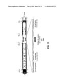 Recombinant VSV For The Treatment of Tumor Cells diagram and image