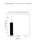 Recombinant VSV For The Treatment of Tumor Cells diagram and image