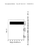 Recombinant VSV For The Treatment of Tumor Cells diagram and image