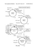 ISOLATED DNA FRAGMENT OF THE HUMAN A33 PROMOTER AND ITS USE TO CONTROL THE EXPRESSION OF A HETEROLOGOUS GENE IN TUMOR CELLS diagram and image