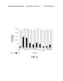 ISOLATED DNA FRAGMENT OF THE HUMAN A33 PROMOTER AND ITS USE TO CONTROL THE EXPRESSION OF A HETEROLOGOUS GENE IN TUMOR CELLS diagram and image